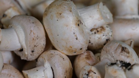 Champinones
