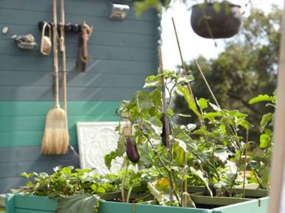 Plan huerto urbano: descubre la pasión de cultivar