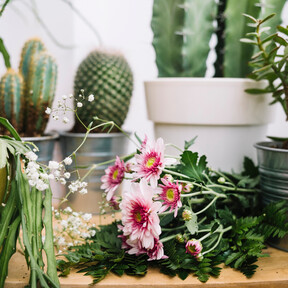 Si eres un amante de las plantas corre a Lidl a por este invernadero ideal para la terraza y en el que podrás cultivar de todo