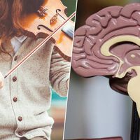 La ciencia ha resuelto uno de los misterios más extraños de la especie humana: la gente a la que no le gusta la música