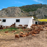 Se buscan voluntarios para vivir gratis en un refugio de la Sierra de Gredos a cambio de cuidar animales 