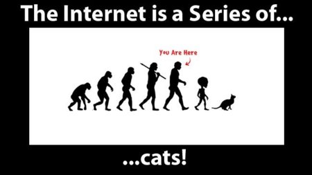 Internet is a Series of Blogs (LXVIII)