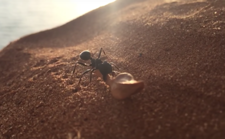 Apple lanza cuatro nuevos videos de su campaña 'Shot on iPhone'