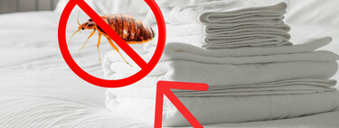 Animales y plagas son las consecuencias de no tender bien tu cama: esto dice la ciencia