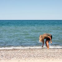 Hay unas cuantas razones por las que coger conchas en la playa es una pésima idea. Y el daño ambiental es solo una de ellas