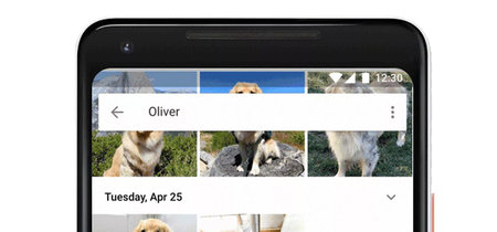 Ya puedes identificar a tus mascotas en Google Fotos
