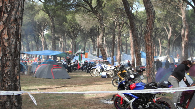 Pinguinos 2015