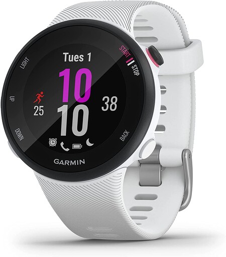 Garmin Forerunner 45S