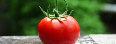 Los tomates de las Galápagos están 'evolucionando al revés'. Y eso es una noticia espectacular 