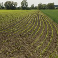 Un niño de 10 años escribió una carta a un agricultor para pedir trabajo en el campo y 13 años después ayuda a dirigir la granja que le abrió las puertas y prepara un nuevo proyecto agrícola 