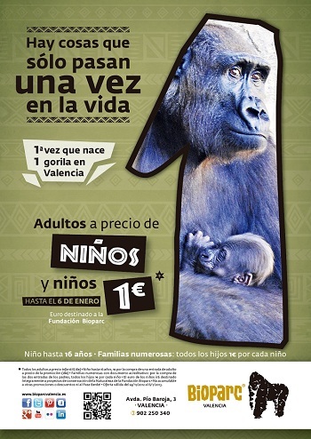 Bioparc Valencia celebra el nacimiento de su primer gorila con precios reducido hasta el 6 de enero