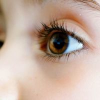 La emotiva historia de Dulce, una niña con parálisis cerebral que aprendió a hablar con la mirada gracias a la tecnología