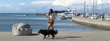 Por qué siempre deberías llevar comida al pasear a un perro