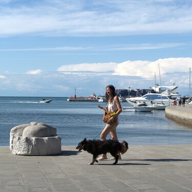 Por qué siempre deberías llevar comida al pasear a un perro