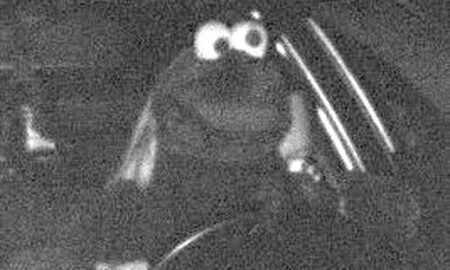 Multado y retratado por un radar disfrazado del Monstruo de las Galletas