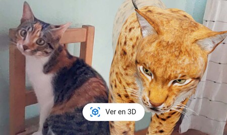 Pon un lince en tu casa gracias a Google: éste y otros animales en extinción ya en 3D