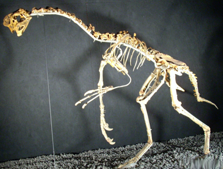Se encuentra el primer especimen de dinosaurio del mundo sentado en un nido de huevos con crías fosilizadas