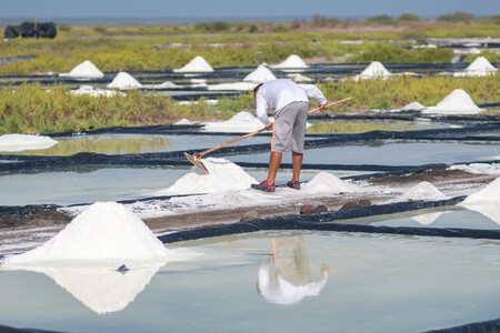 Este es el destino de México donde se produce el tesoro de la cocina conocido como el “oro blanco”