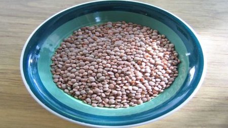 Las legumbres en la alimentación infantil: las lentejas