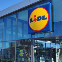 Ya en Lidl la solución barata para ocultarte de las miradas cotillas de los vecinos mientras estás en el balcón o la terraza