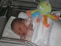 ¡Se ha perdido el peluche de mi hija!