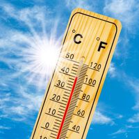 Di adiós a la ola de calor con este aire acondicionado móvil Comfee en Lidl, que no necesita instalación, ahora a un precio económico