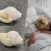 La apnea del sueño convierte dormir en un infierno. Unos científicos creen tener una solución: soplar conchas