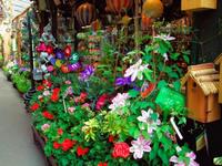 El Mercado de las flores y los pájaros en París, un paseo de color y aromas para los sentidos