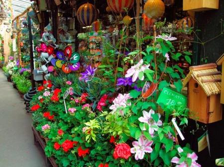 El Mercado de las flores y los pájaros en París, un paseo de color y aromas para los sentidos