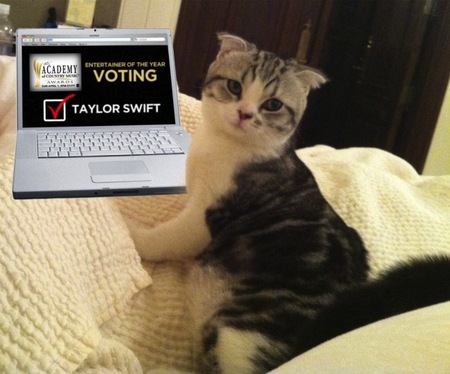 En lo que a ricura se refiere, están los cachorritos de tigre, y luego Taylor Swift