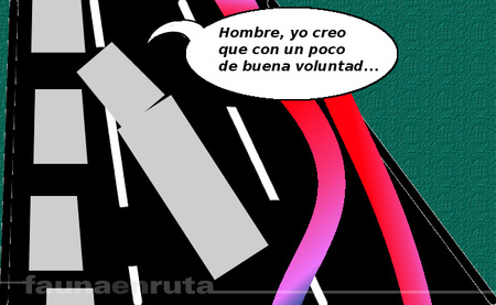 fauna en ruta: cambio de carriles