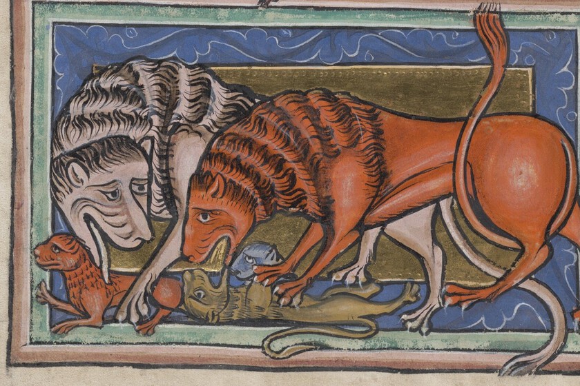 Hace 450 años, alguien recorrió media España apuntando todos tipo de animales y plantas: el resultado es un atlas bizarrísimo de un...
