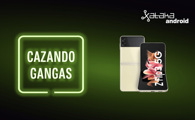 Cazando Gangas