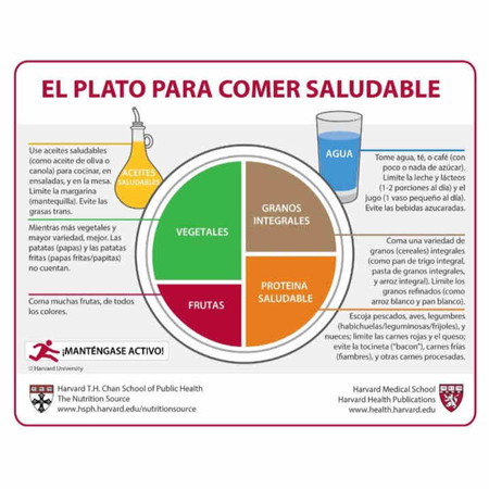 Plato Harvard