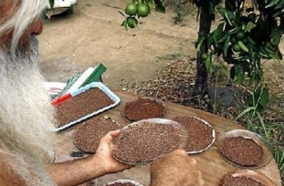 Dieta crudívora, sus pro y sus contra