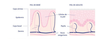 Piel Bebe Sanosan 920x460 E1557241707799