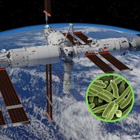 China encontró una superbacteria en su estación espacial. Mutó para resistir las condiciones extremas del espacio