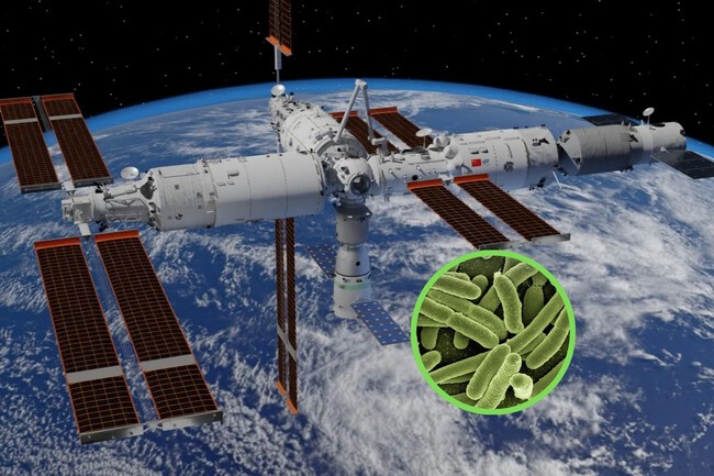 Superbacteria China En Tiangong