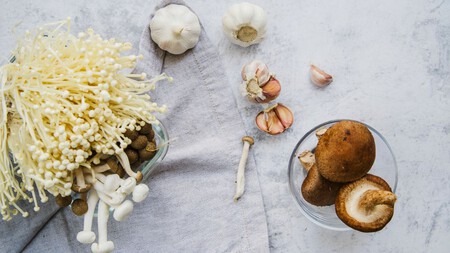 Hongos Y Champinones