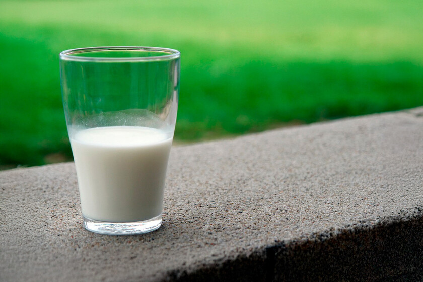 Leche