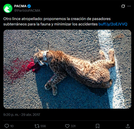 Lince Atropello X Pacma