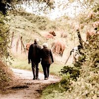 Aumentar la base de cotización, la gran duda de los autónomos que pone en jaque nuestra jubilación futura 