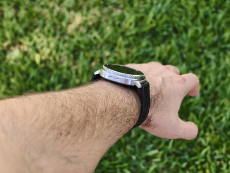 Es grandote, sí | Imagen: Xataka