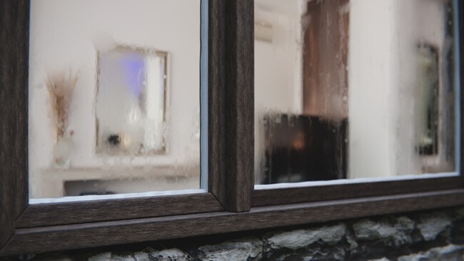 Window 2561251 1920