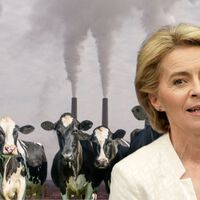 La transición ecológica tiene un precio, pagar más por muchos productos y servicios: empezamos por la carne de vaca y los vuelos