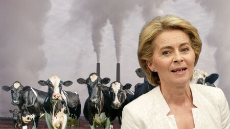 Transicion Ecologica Vuelos Carne