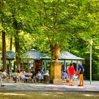 Vitoria lleva años siendo la ciudad más verde de España. Ahora se ha vuelto en su contra por una huelga de jardineros