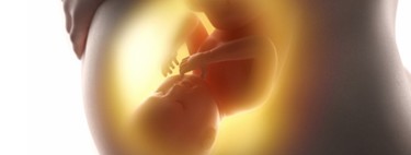 Líquido amniótico en el embarazo: todo lo que debes saber 