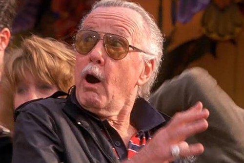 Stan Lee Cameo Spiderman