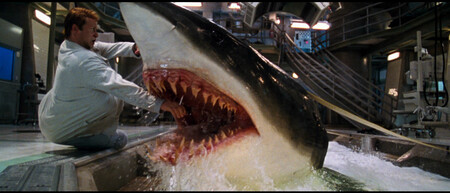 Deep Blue Sea 1999 Imdb